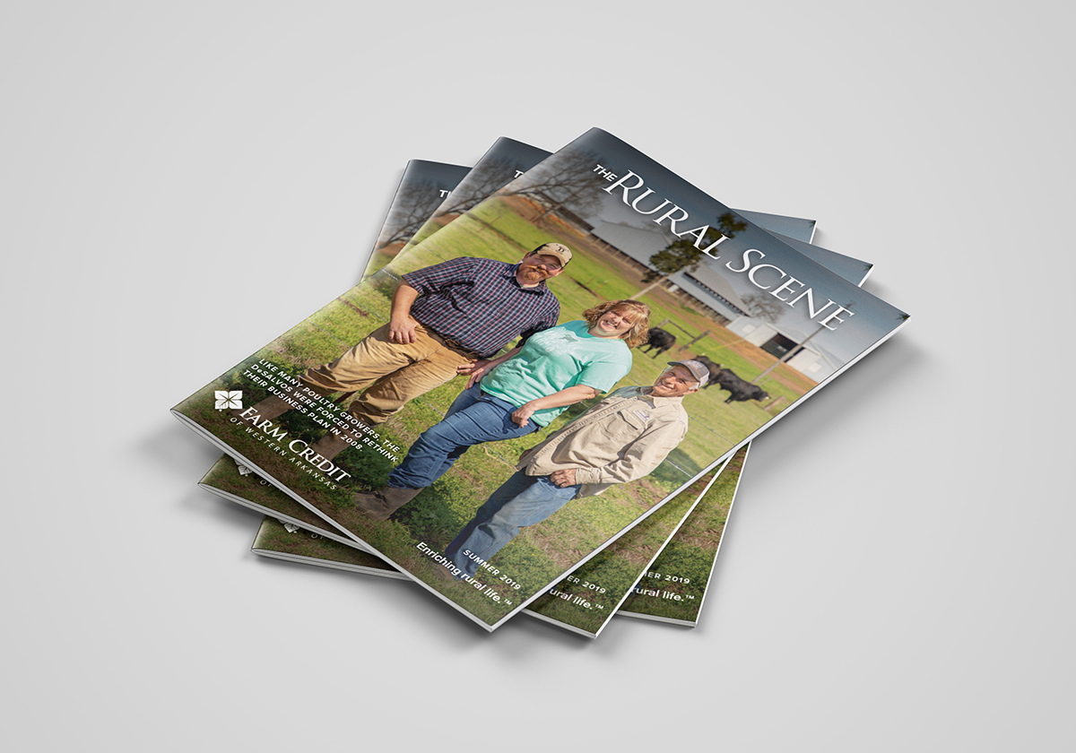 Summer Newsletter Cover Mockup