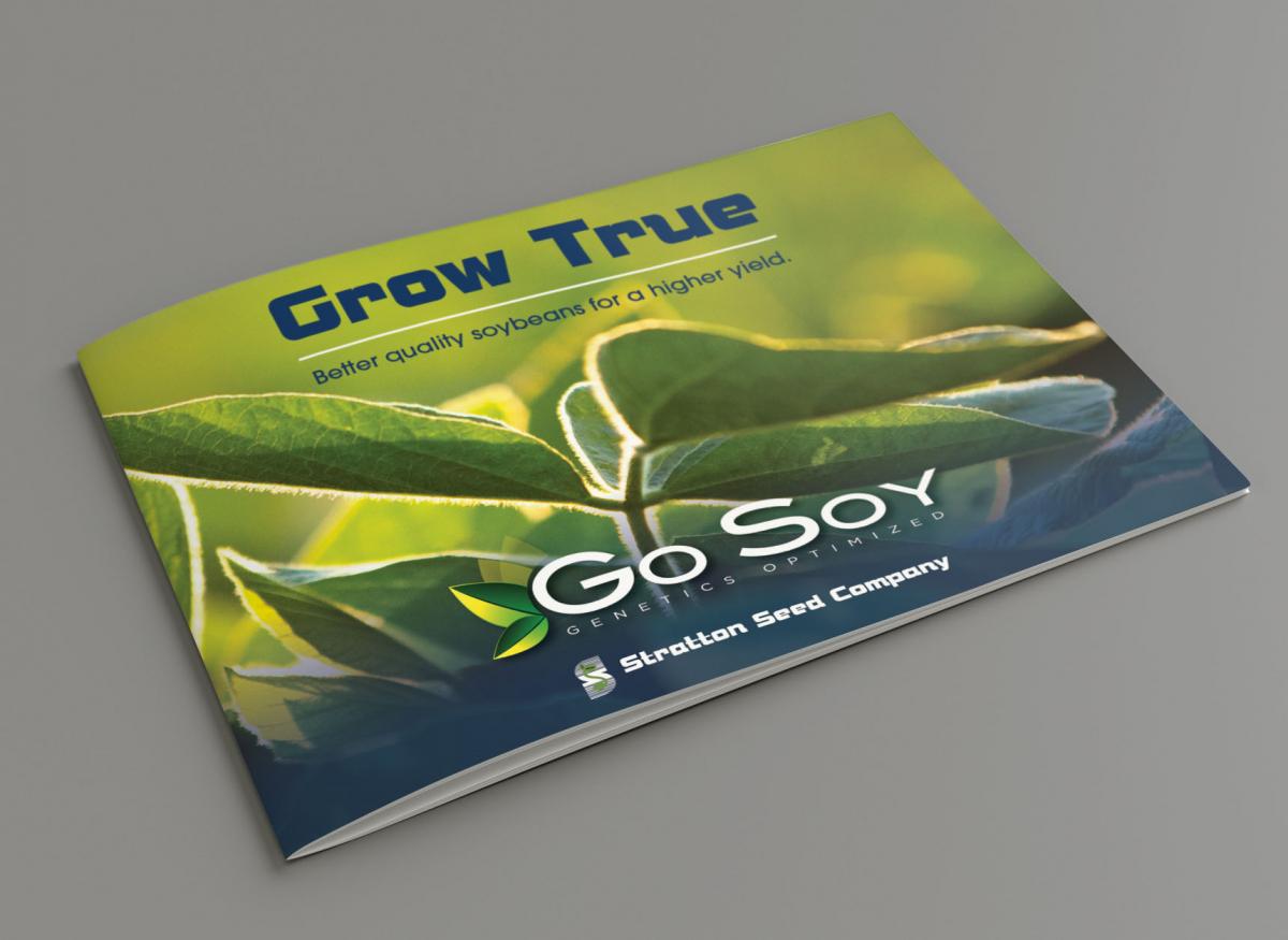 Go Soy brochure on gray background 