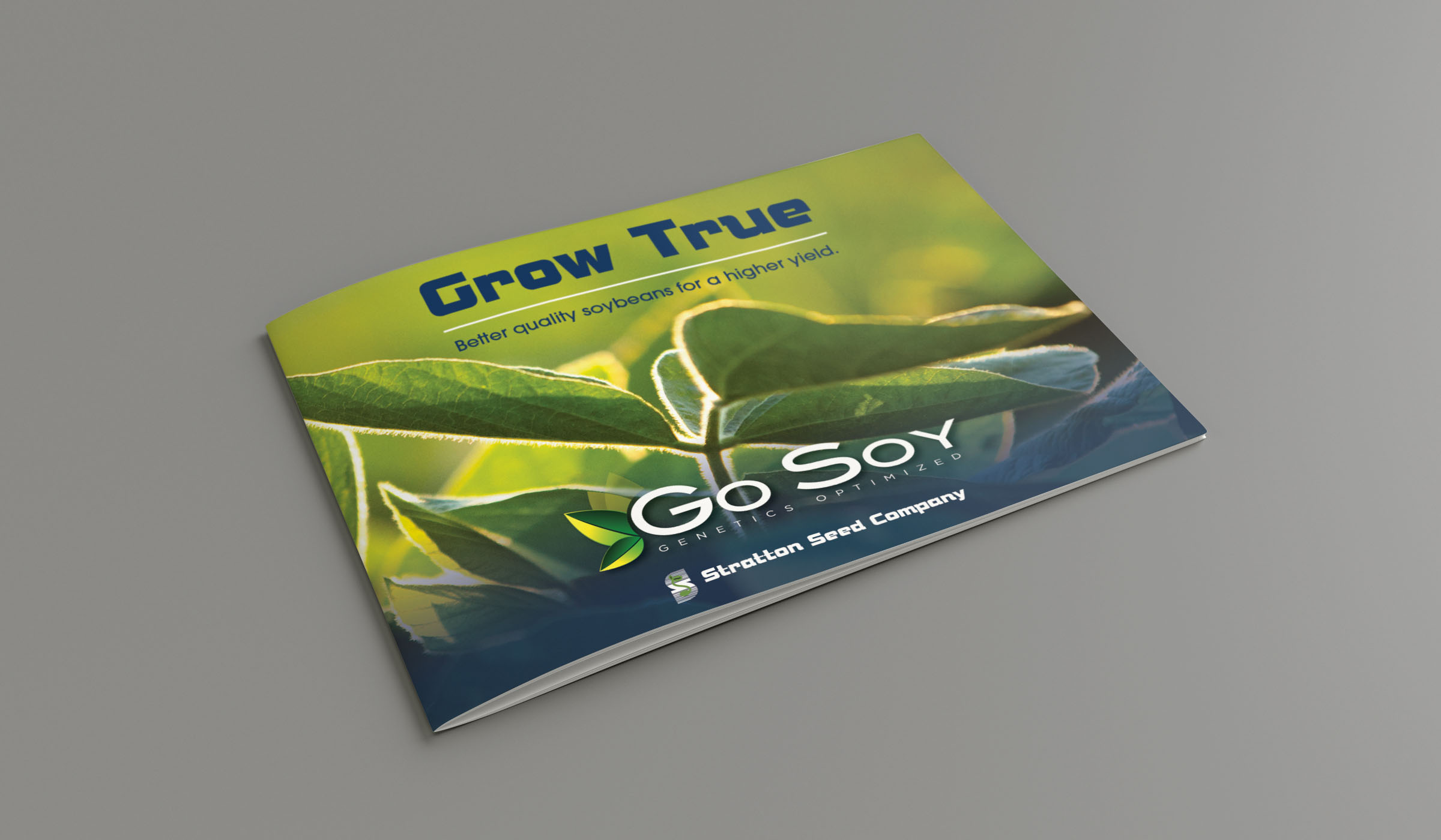 2019-20 soybean brochure cover