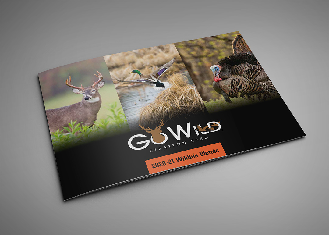 2020-21 wildlife brochure cover mockup