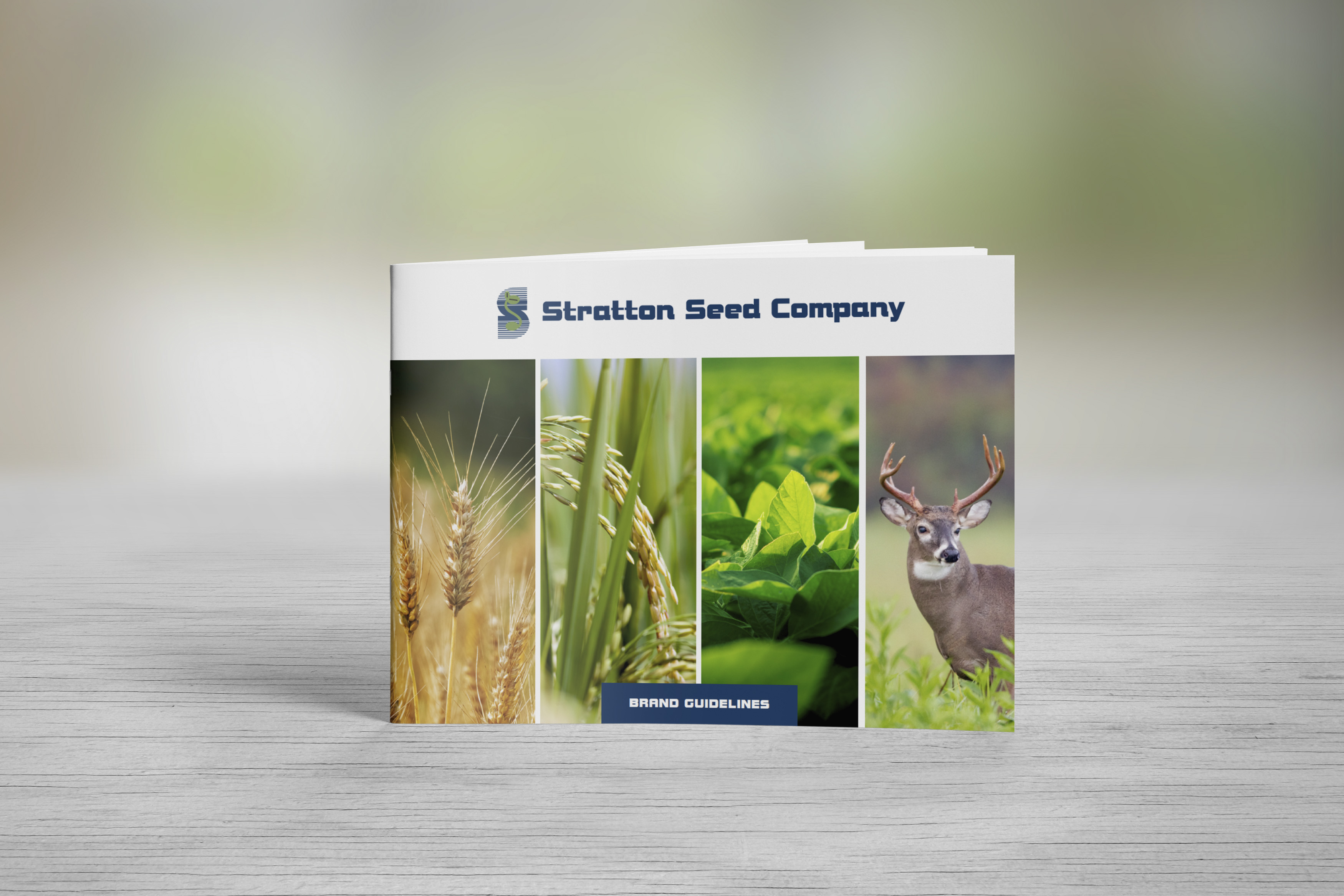 Stratton Seed branding guide sitting on table