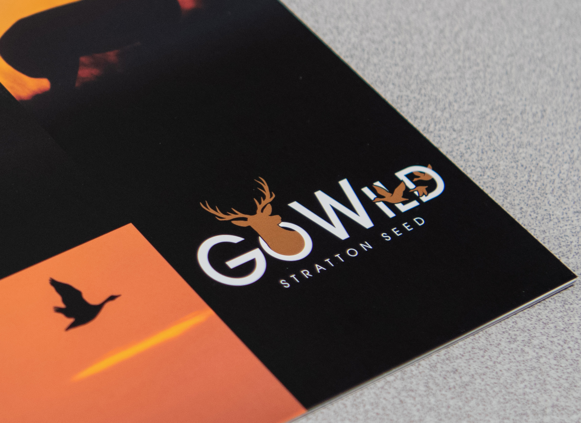 close up of GoWild logo on brochure