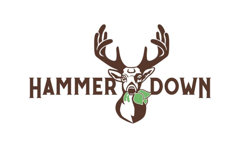 Hammer Down Logo